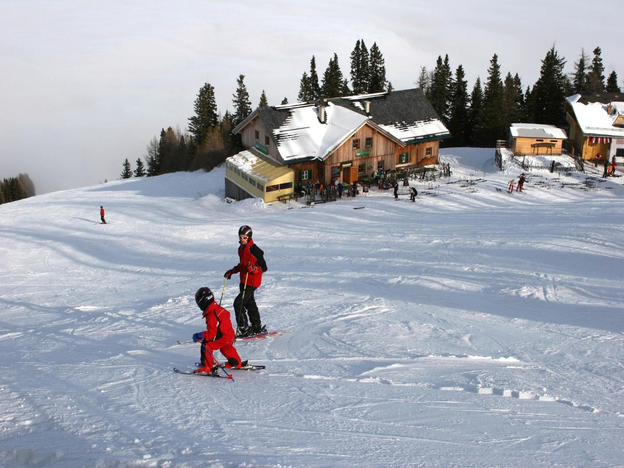 Modern Apartment With Garden Near The Petzen Ski Area In Eberndorf Carinthia Extérieur photo